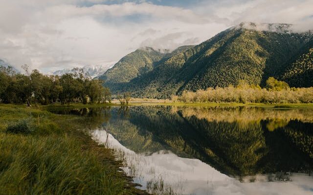 Green trees near the lake under white clouds